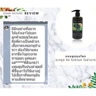 CHAN NATURE แชมพูสมุนไพรสด มะกรูด ขิง ใบบัวบก ใบย่านาง ลดผมร่วง คัน กระตุ้นผมงอกใหม่ ชะลอผมหงอก 300ml