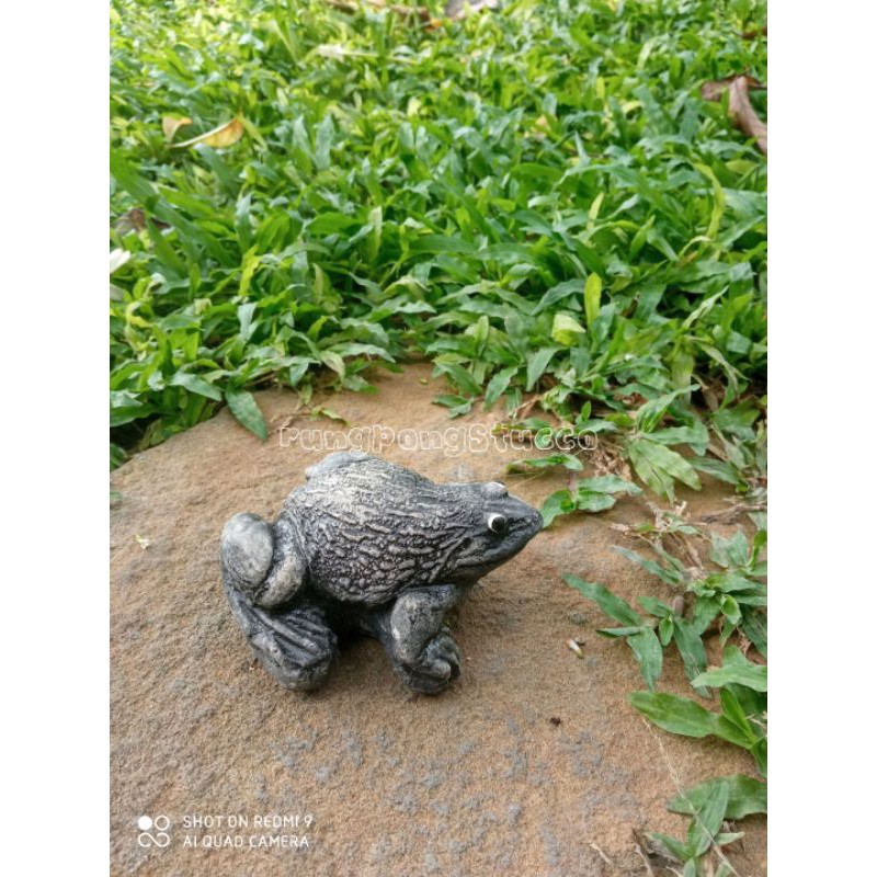 ตุ๊กตาปูนปั้นกบตกแต่งสวนสวยมีให้เลือก 2 สี น่ารักมาก สนใจสั่งซื้อได้คะ ราคาถูก ราคา ถูกที่สุด ดีลบีเคเค แกลเลอรีภาพที่ 7