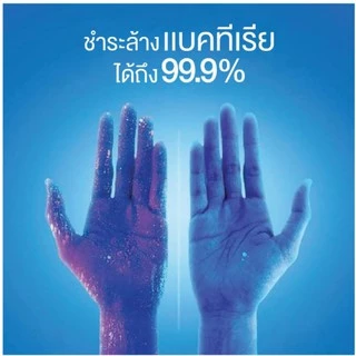 SafeGuard เซฟการ์ด บอดี้ วอช อาร์กติก เฟรช 650 มล Arctic Fresh Antibacterial Bodywash 650 ml