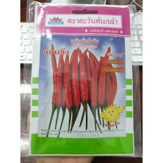 พริก แซ่บจง 1กรัม ตะวันต้นกล้า