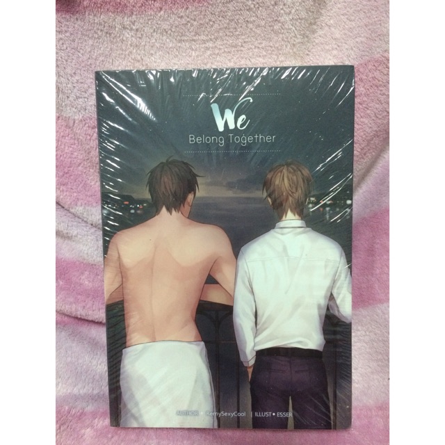 นิยาย we belong together