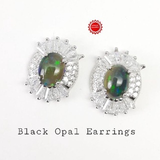 ต่างหู แบล๊คโอปอล Black Opal พลอยแท้ รูปไข่ขนาด 7×9 มม.เรือนเงิน 925 ชุบทองคำขาว