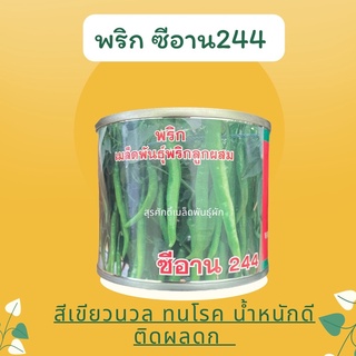 พริกหนุ่มเขียว ซีอาน 244 50 กรัม