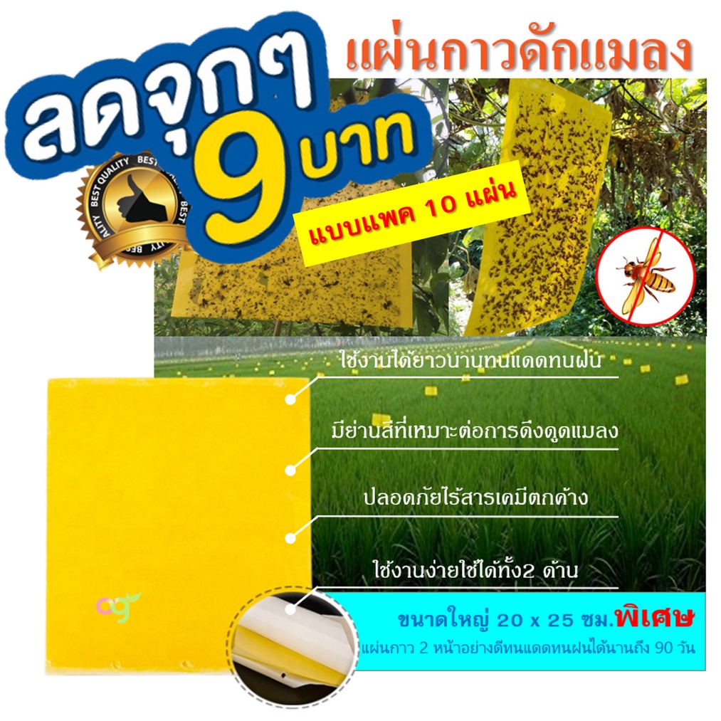 10 แผ่นสีเหลือง แผ่นกาวดักแมลง  ขนาด 20x25 ซม ใช้ในแปลงเกษตร โรงเรือน สวนไม้ผล ใช้กำจัดแมลงศัตรูพืช