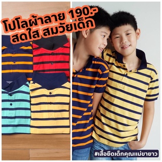 รวมแบบ เสื้อโปโลเด็ก ไซส์ 7 อกเสื้อ 27-28 นิ้ว ความยาว 18 นิ้ว poloเด็ก