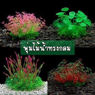 ของแต่งตู้ปลา - พืชน้ำ ไม้น้ำพุ่มทรงกลม