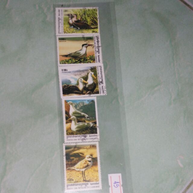 My Image 4