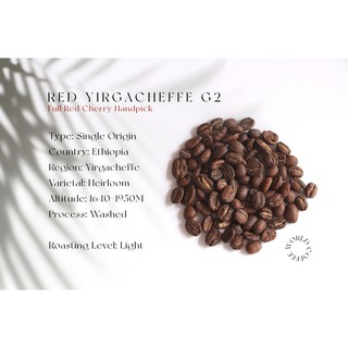 เมล็ดกาแฟคั่วอ่อน Ethiopia Red Yirgacheffe G2 washed 250g