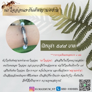 ตะกรุดนะใจอ่อน&amp;พญามดง่าม