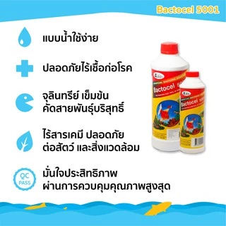 Bactocel 5001 1000cc จุลินทรีย์บ่อปลา ตู้ปลา ปรับสภาพน้ำใส ย่อยขี้ปลา แก้น้ำขุ่น ลดแอมโมเนีย