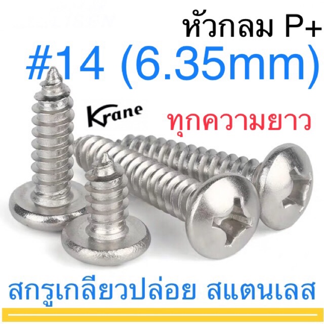 สกรูเกลียวปล่อย สแตนเลส P+ #14 หัวกลม ตะปูควง หัวนูน หัวกระดุม
