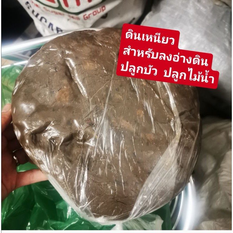 ดินเหนียว​  (1 ก้อนใหญ่) สำหรับลงอ่างดินปลูกบัวปลูกไม้น้ำ