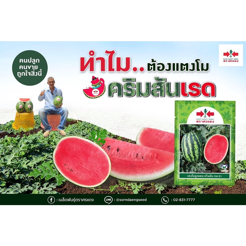 แตงโม คริมสันเรด ตราศรแดง 40กรัม