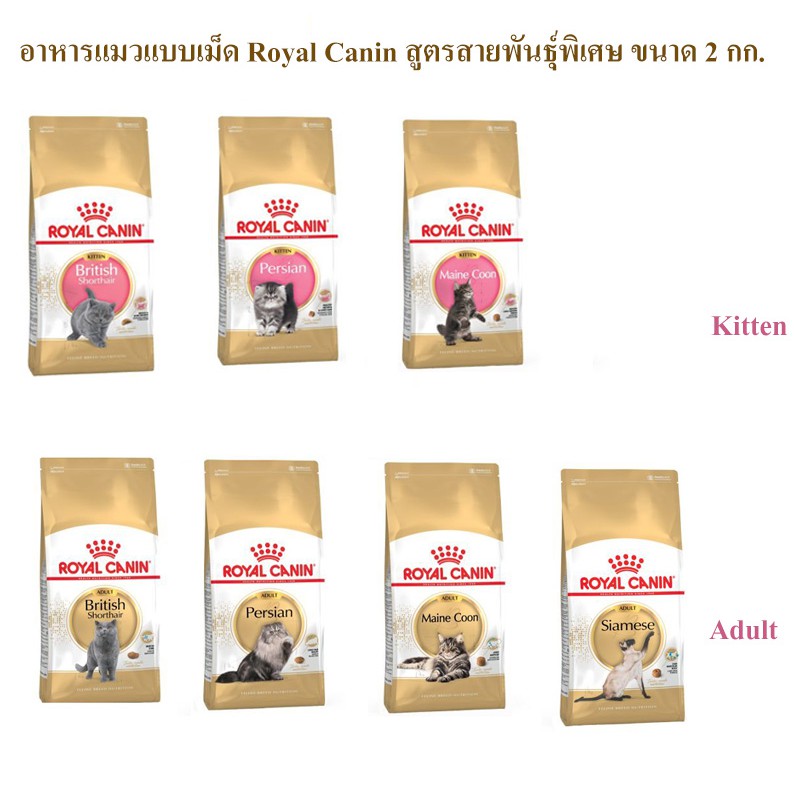 อาหารแมว Royal Canin Persian สูตรเฉพาะสายพันธ์ุ 2 กก.