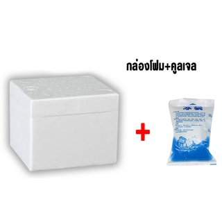 &gt;&gt;ส่งจากไทย&gt;&gt;กล่องโฟม...ขนาดเล็ก**3 - 5kg  [[สำหรับสั่งพร้อมของแช่เย็นในร้านเท่านั้น]]