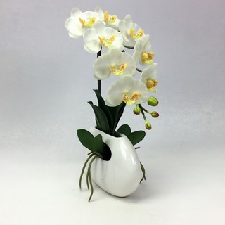 OrientalFineArt ดอกกล้วยไม้ phalaenopsis จัดในแจกันทรงโมเดิร์น สำหรับประดับตกแต่ง(CR-388-W F9)