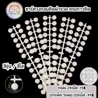 ชาร์ตติดฝาขวด ชาร์จสี แถมกาวติดทุกชิ้น
