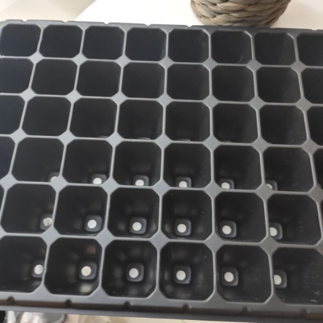 ถาดเพาะชำ ถาดเพาะกล้า 72 หลุม ทนแดด แข็งแรง