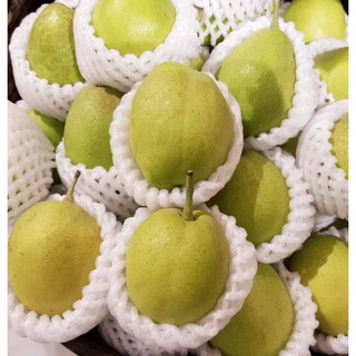 TOP-1สาลี่หอม Fragrant Pear (ยกลัง7KG) (CHN) นำเข้า ~ลดพิเศษ~ หอม หวาน อร่อย ! ผลไม้นอก ผลไม้นำเข้า ผลไม้สด