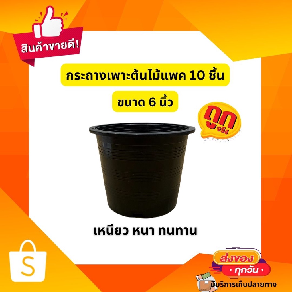 กระถางต้นไม้พลาสติก กระถางเพาะต้นไม้ ขนาด 6 นิ้ว สีดำ เหนียว หนา ทนทาน Made in thainland (แพค 10ชิ้น)