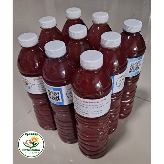 หัวเชื้อจุลินทรีย์สังเคราะห์แสง ขนาด 600 ml. แพ็ค 3 ขวด สูตรเข้มข้น (PSB) ราคาพิเศษ