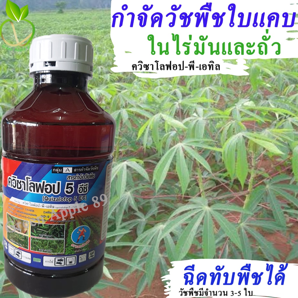My Image 21