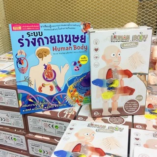 หนังสือร่างกายมนุษย์ แถมฟรี!!! โมเดลร่างกายมนุษย์ 💪 โมเดลอวัยวะ 🦵 ของเล่นแนววิทยาศาสตร์ 🧠 Human Body Model 👀 Anatomy