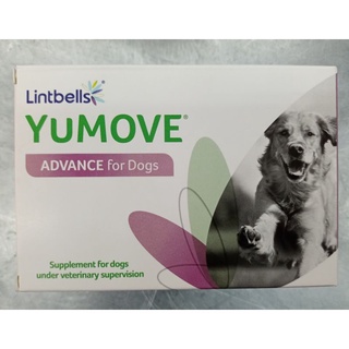 Yumove advance Dog  อาหารเสริมบำรุงข้อ กระดูก ทำจากธรรมชาติ(120 เม็ด)