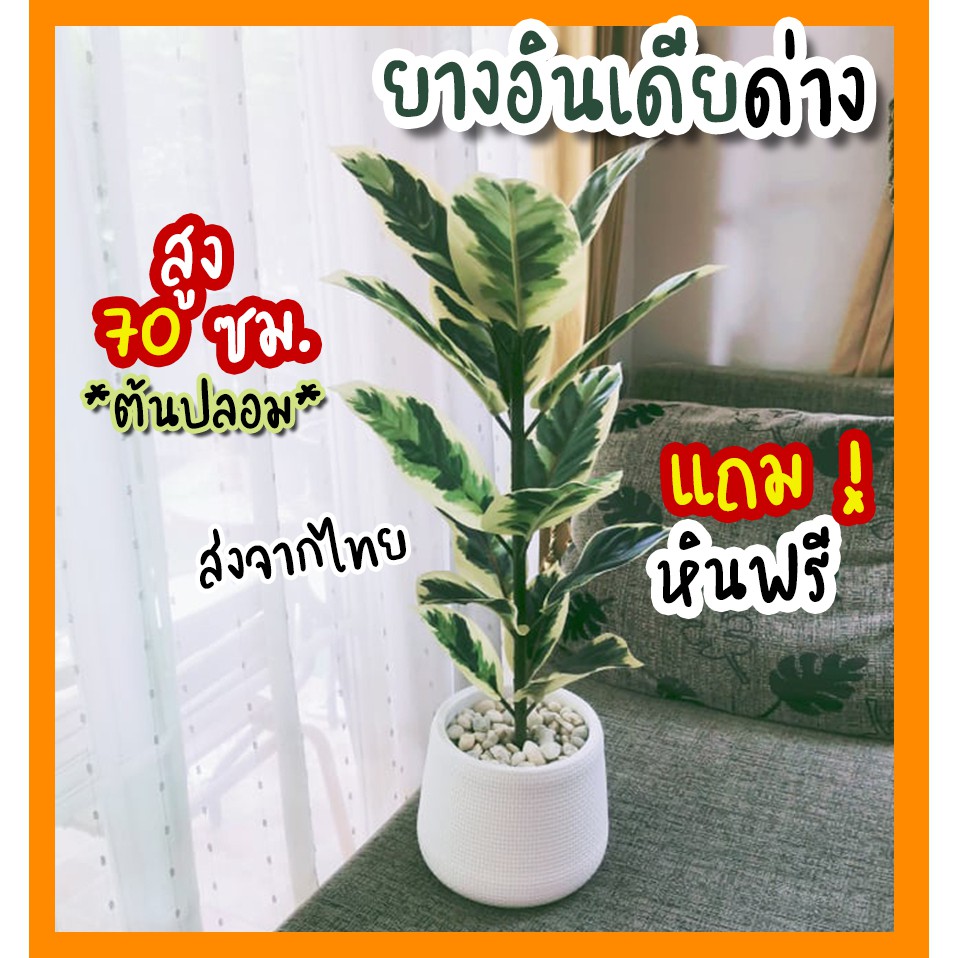 #ต้นไม้ปลอม ต้นยางอินเดียด่าง สวยเนียน/ ต้นสูง 70cm พร้อมกระถาง+ฟรีหิน!!