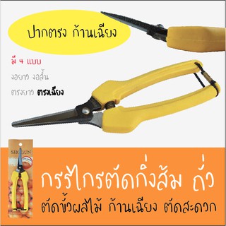 กรรไกรตัดกิ่ง *ปากเฉียง ก้านตรงยาว* สำหรับตัดแต่งผลไม้ ดอกไม้ (Gardening Pruning Shear) กรรไกรตัดถั่ว กรรไกรตัดส้ม