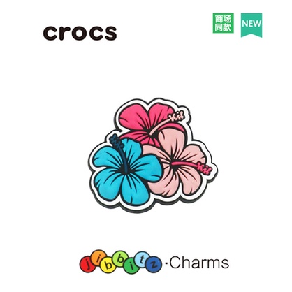 ใหม่ jibbitz รองเท้าแตะ crocs jibbitz คุณภาพสูง สําหรับวันเกิด