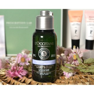 พร้อมส่ง Loccitane Douceur Gentle Balance Shampoo 75ml แชมพู