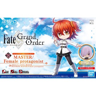 Petitrits Master/Female Protagonist