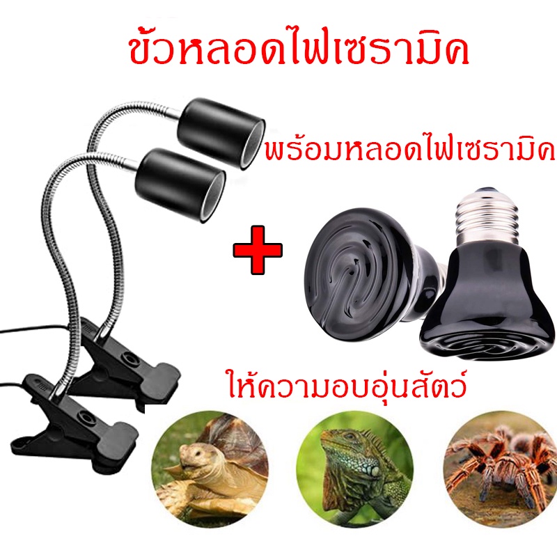 ขั้วหลอดไฟเซรามิค​ หลอดไฟเซรามิค หลอดไฟกกนก ไฟกกนก หลอดให้ความร้อนสำหรับสัตว์เลี้ยงทุกชนิด ขั้วมาตรฐ