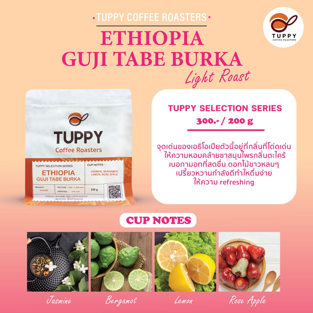 TUPPY COFFEE เมล็ดกาแฟคั่ว Ethiopia Guji Tabe Burka (Single Origin) 200 ...