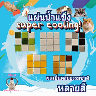 [hammyscience] XS / S แฮมสเตอร์แผ่นทำความเย็น, ไอแพด, ฤดูร้อน, สัตว์เลี้ยงเย็น, กระต่ายกระรอกเม่น EYYOGX