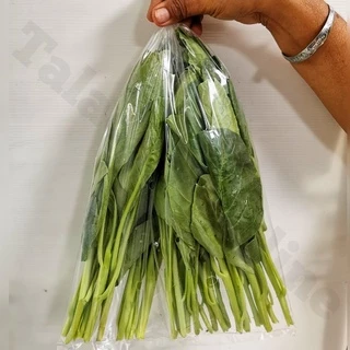 ยอดคะน้า สด สะอาด รับประกันคุณภาพ