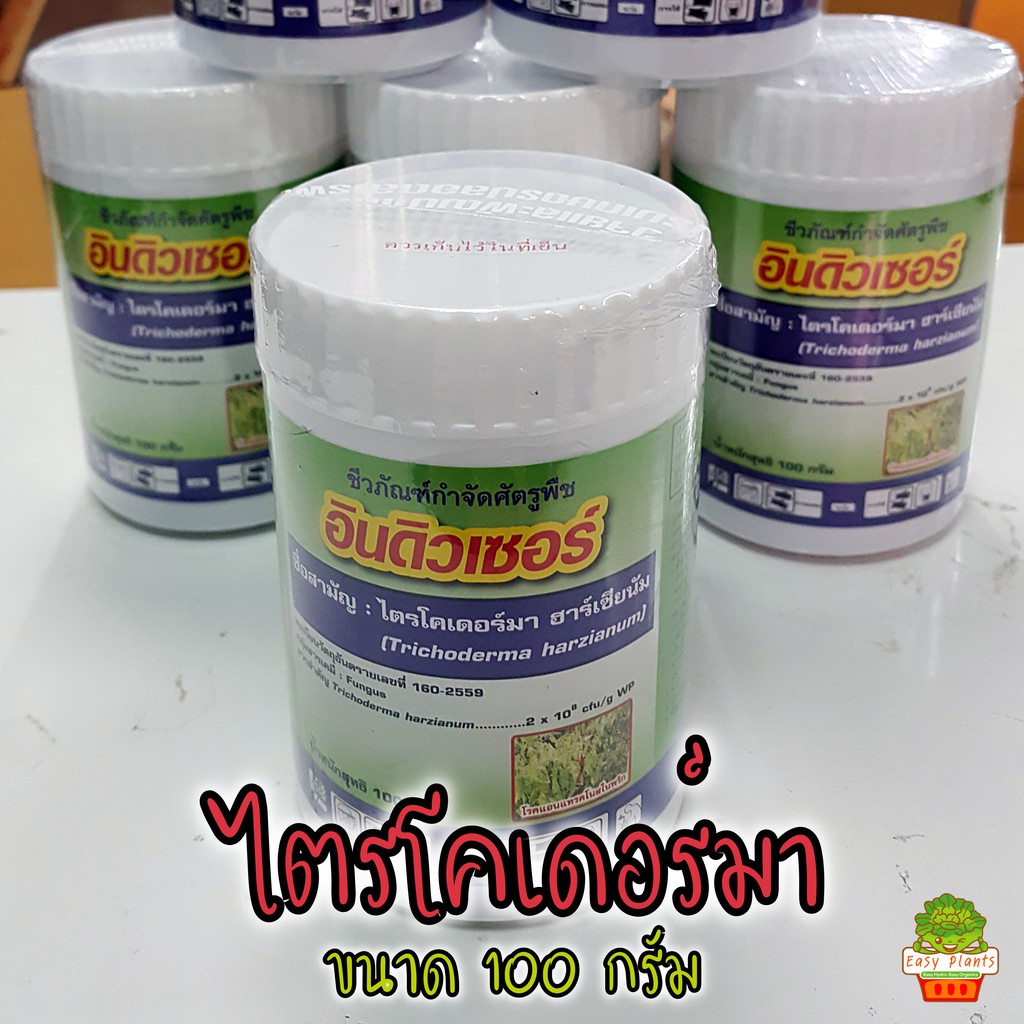 ไตรโคเดอร์ม่า อินดิวเซอร์ 100 กรัม ชนิดกระป๋อง ชนิดผง กันเชื้อรา กันรากเน่า ปลอยภัย ไร้สารพิษ ราคา ถูกที่สุด ดีลบีเคเค