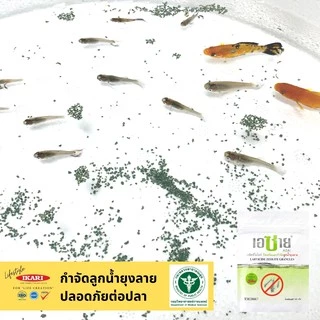 [แพ็คสุดคุ้ม] AZAI (เอซาย) ซีโอไลท์กําจัดลูกน้ำยุงลาย 100 กรัม(แพ็ค 8 ซอง) กำจัดลูกน้ำยุง น้ำใสสะอาด ไม่เกิดกลิ่นเหม็น