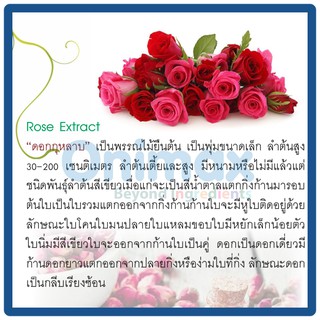 สารสกัด ดอกกุหลาบ Rose extract 100ml.