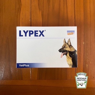 สินค้าของแท้ ฉลากไทย LYPEX อาหารเสริมบำรุงตับอ่อน สำหรับสุนัข/แมว (หมดอายุปี 07/2024)