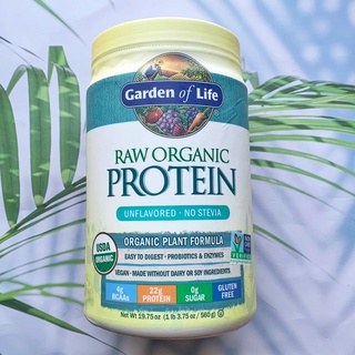 50% Sale!!! EXP: 10/23 โปรตีน แบบผงชงดื่ม RAW Organic Protein Organic Plant Formula, Unflavored 560g (Garden of Life®)