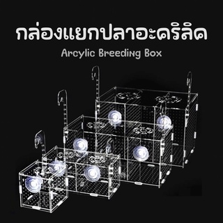 (พร้อมส่ง) กล่องแยกปลาอะคริลิค ใช้แยกปลา กุ้ง ลูกปลา ปลาป่วยในตู้ปลา Acrylic Breeding Box