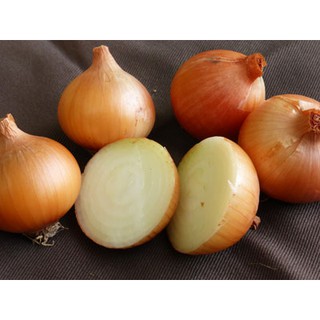 เมล็ด หัวหอมสเปนสีเหลือง - Yellow Sweet Spanish Onion