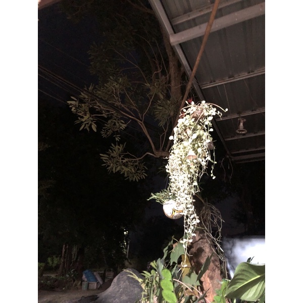 nittaya😍😍😍😍😍😍😍😍😍😍😍😍😍😍