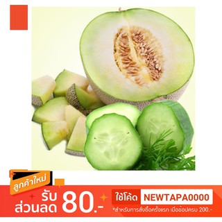 น้ำหอม NG Natures Garden นำเข้าจากอเมริกา กลิ่น  CUCUMBER &amp; MELONS FRAGRANCE OIL ขนาด 16 ออนซ์