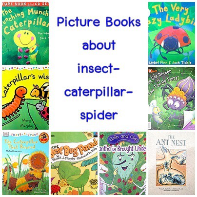 Picture books about insect-caterpillar-spider หนังสือมือสอง ปกอ่อน