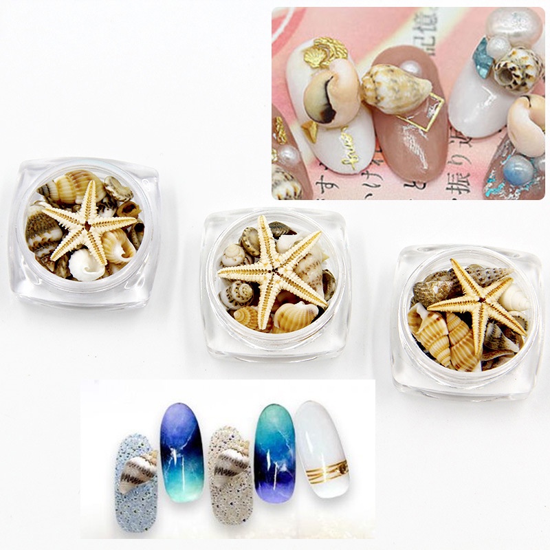 เปลือกหอย ตกแต่ง​DIY​ 3g งานประดิษฐ์ ตกแต่งเล็บ ตกแต่งเรซิ่น ตกแต่งรูปภาพ กรอบต่างๆ งาน DIY