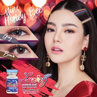 LuxzyLens mini Honey Bee Brown ลัคซี่เลนซ์ แถมตลับ ค่าสายตา