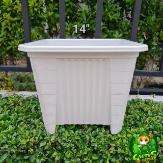 ถูกและหนา‼️กระถางเหลี่ยมทรงโรมัน(ทรงสูง)มีขา หนา 7"/10"/14" ❌️กระถางกับจานขายแยกค่ะ❌️ สีขาวครีม/เทา/ดำ/อิฐ
